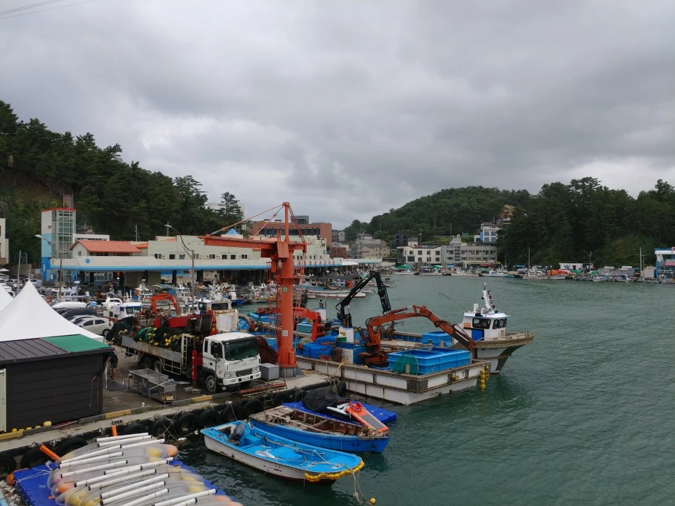 20210814_154446.jpg?type=w966