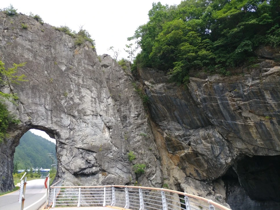 20210813_103924.jpg?type=w966