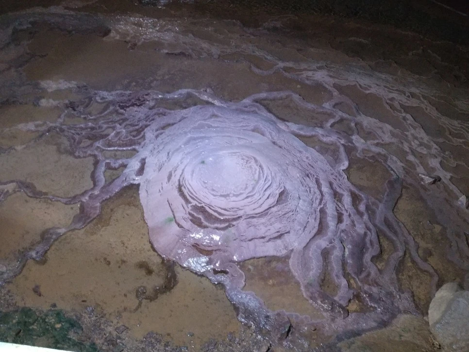 20210814_125237.jpg?type=w966