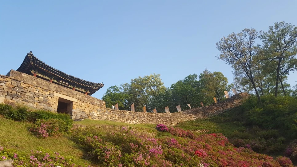 20190501_182810.jpg?type=w966