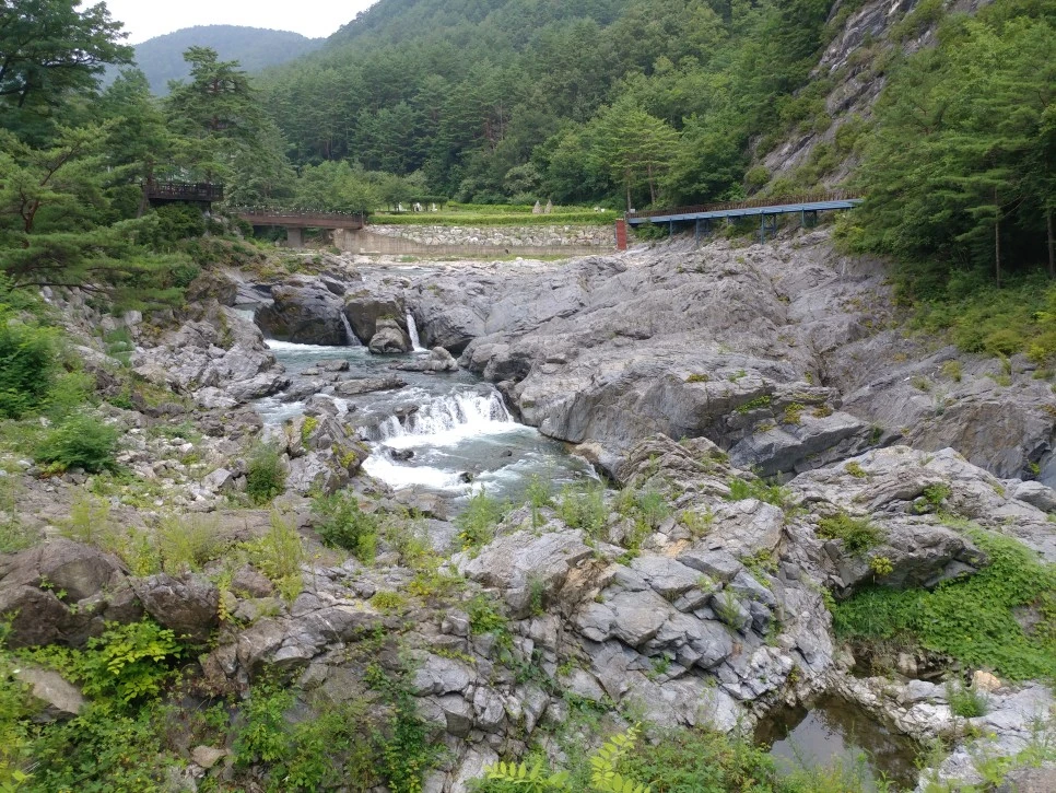 20210813_103154.jpg?type=w966