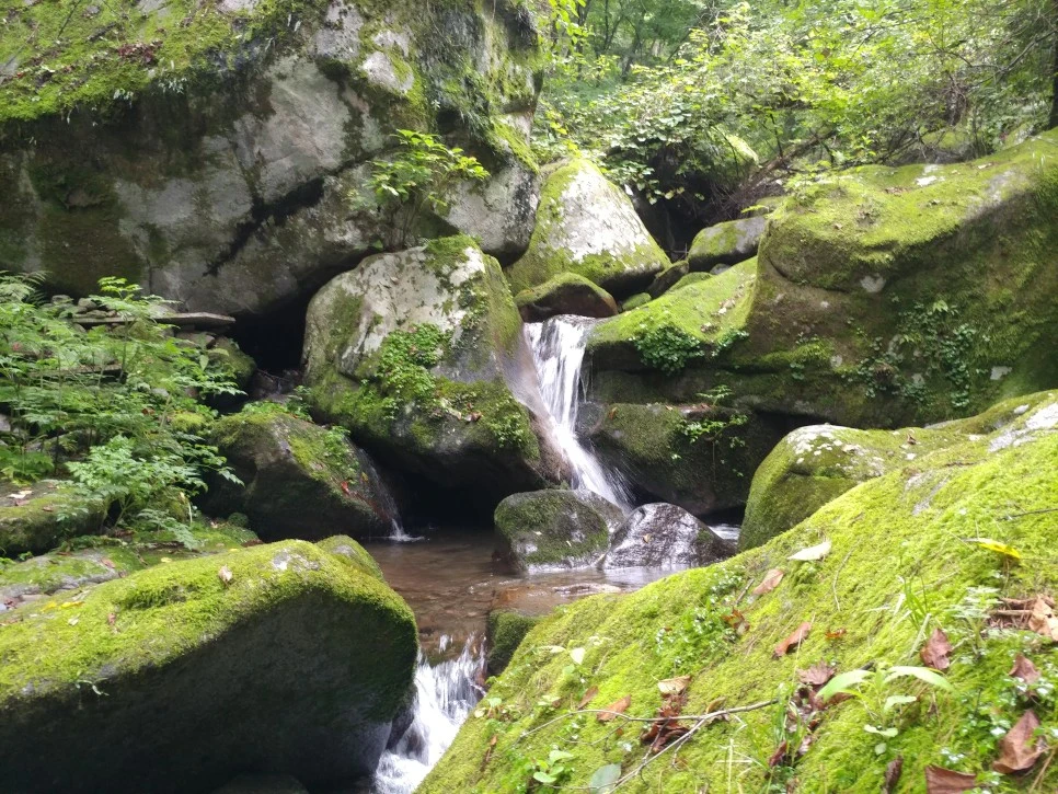 20210812_172039.jpg?type=w966