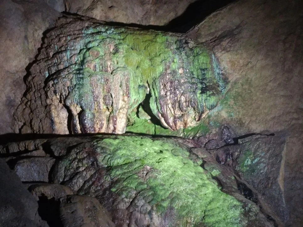 20210814_124135.jpg?type=w966