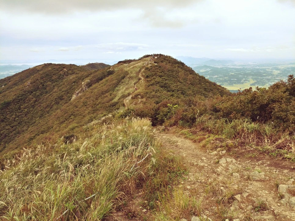 20210915_010726_HDR.jpg?type=w966