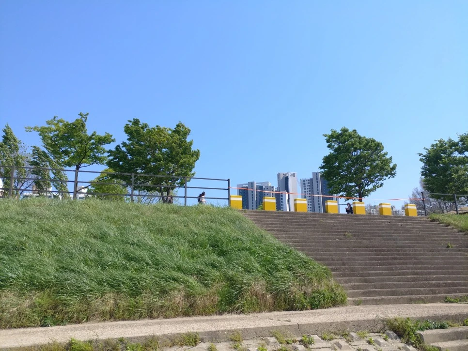 20220501_145212.jpg?type=w966