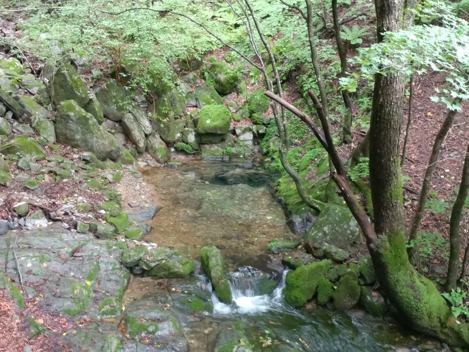 20210812_141056.jpg?type=w966