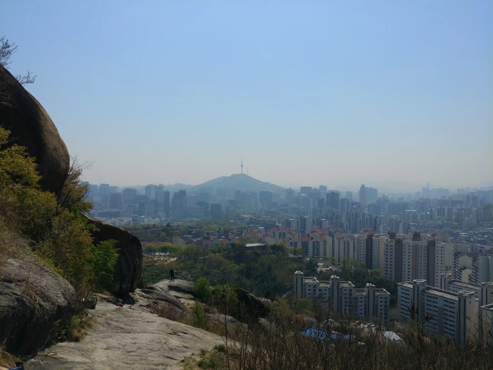 20220417_112132.jpg?type=w966