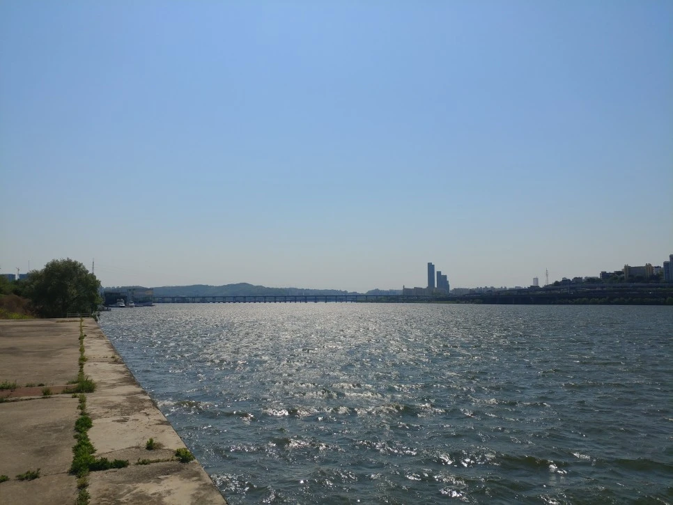 20220501_145147.jpg?type=w966