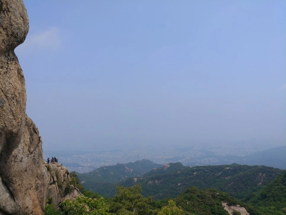 20220522_112154.jpg?type=w966