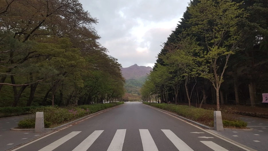 20210413_185043.jpg?type=w1