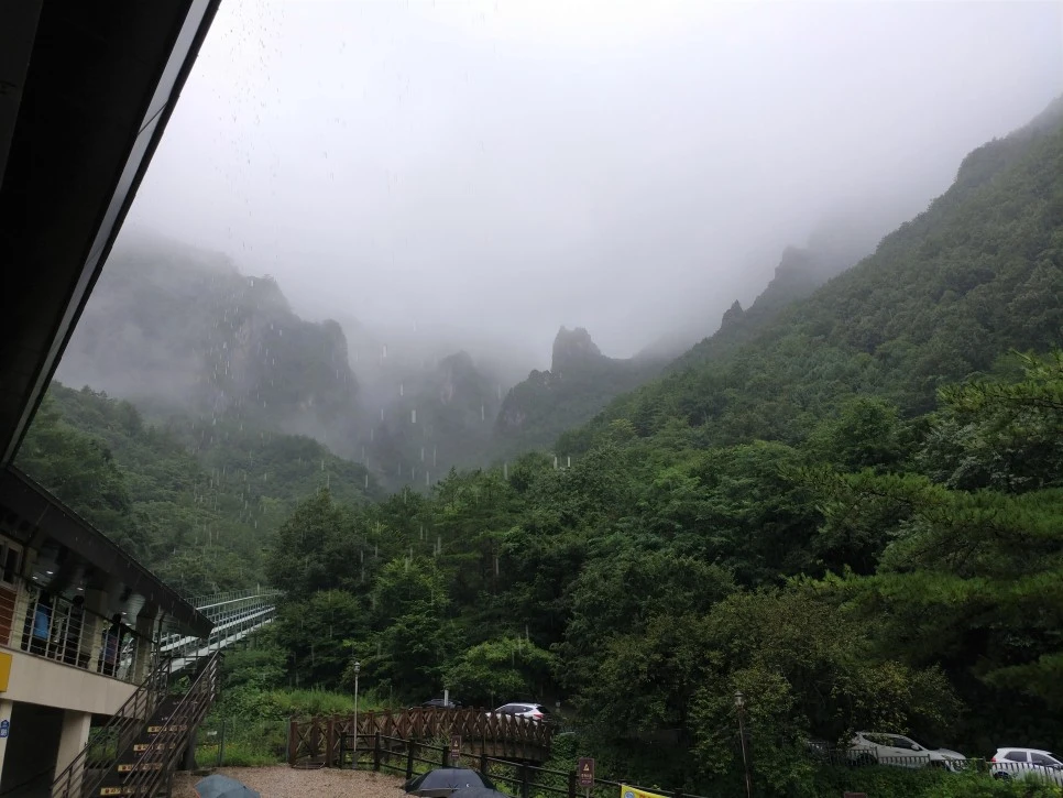 20210814_114835_(2).jpg?type=w966