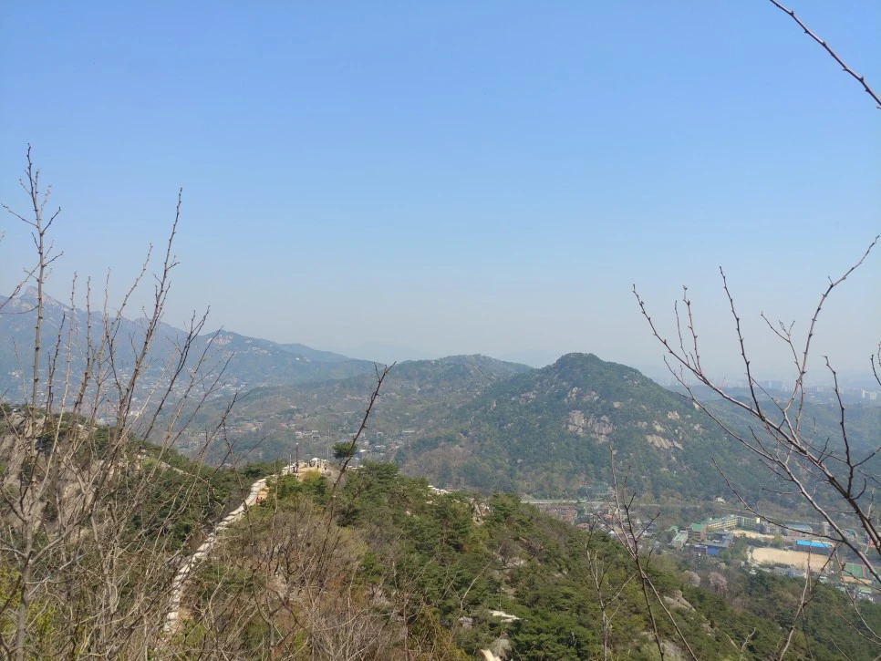 20220417_121212.jpg?type=w966