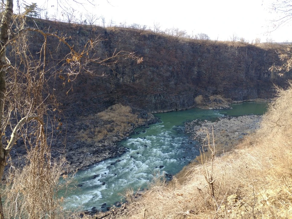 20211201_142820.jpg?type=w966