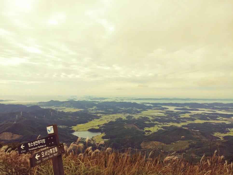 20210915_005950_HDR.jpg?type=w966