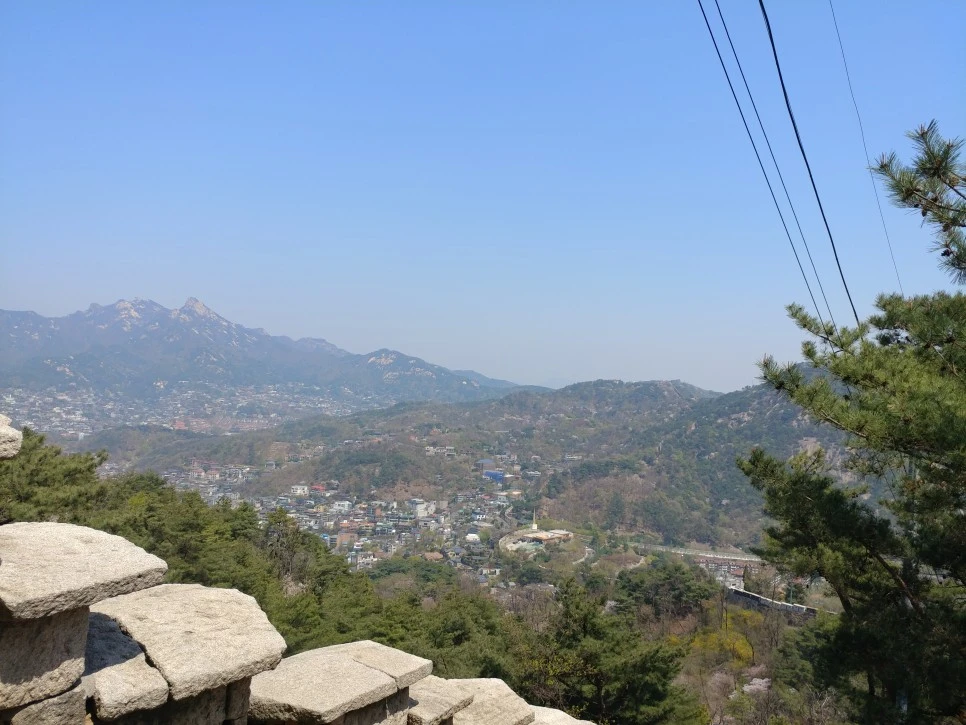 20220417_122624.jpg?type=w966