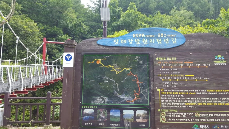 20210812_134216_001.jpg?type=w966