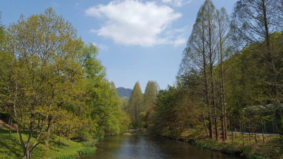 20210418_150552.jpg?type=w1