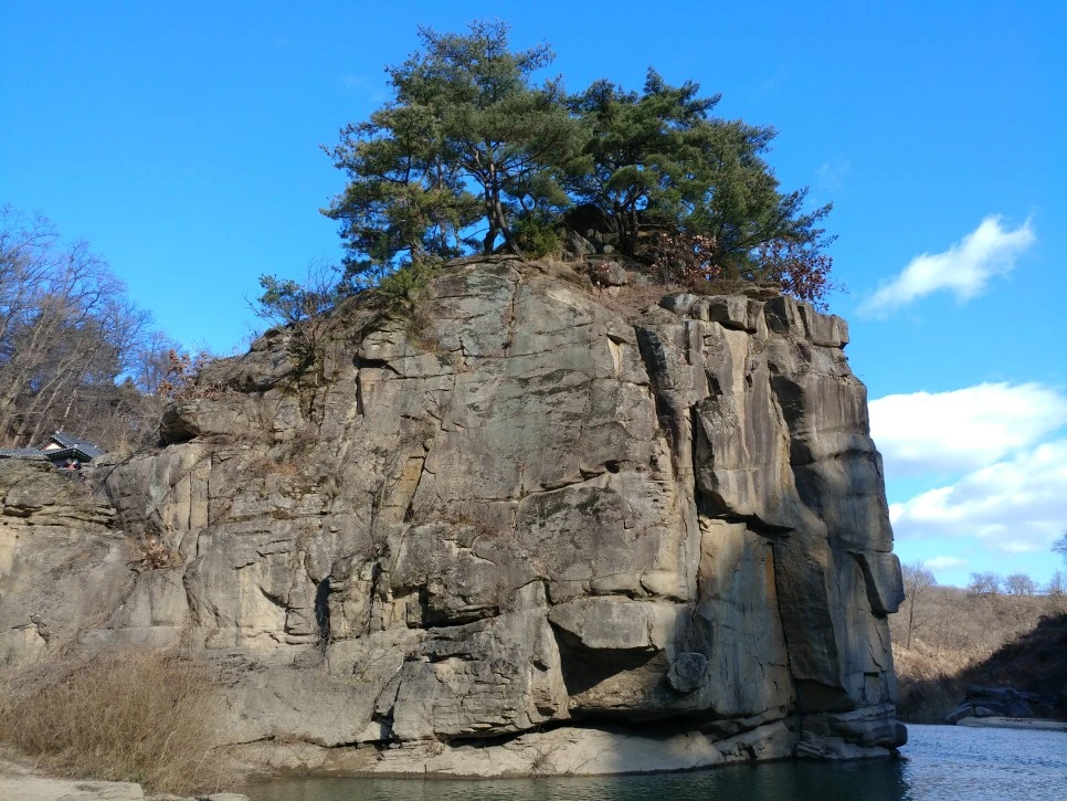 20211201_124901.jpg?type=w966