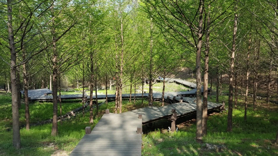 20210418_153407.jpg?type=w1