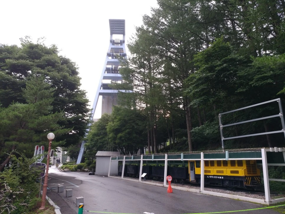 20210813_070240.jpg?type=w966