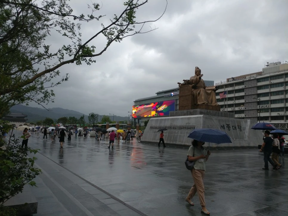 20220808_115515.jpg?type=w966