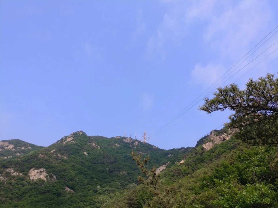 20220522_100137.jpg?type=w966