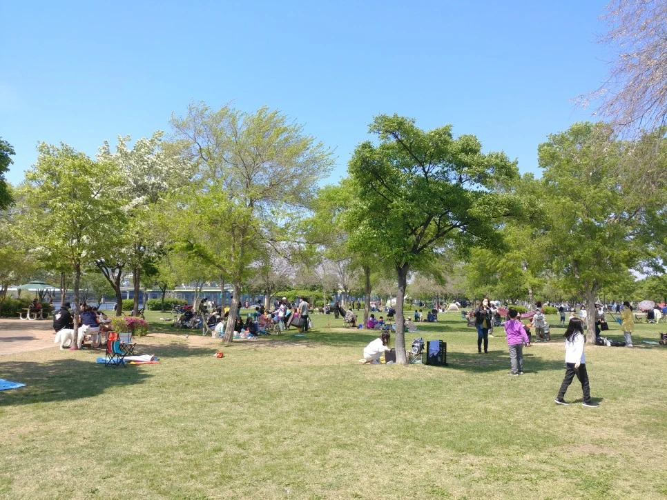 20220501_142435.jpg?type=w966