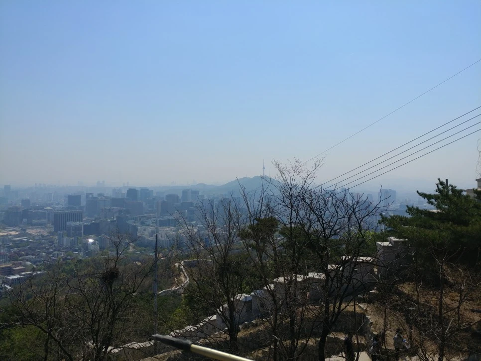 20220417_114422.jpg?type=w966