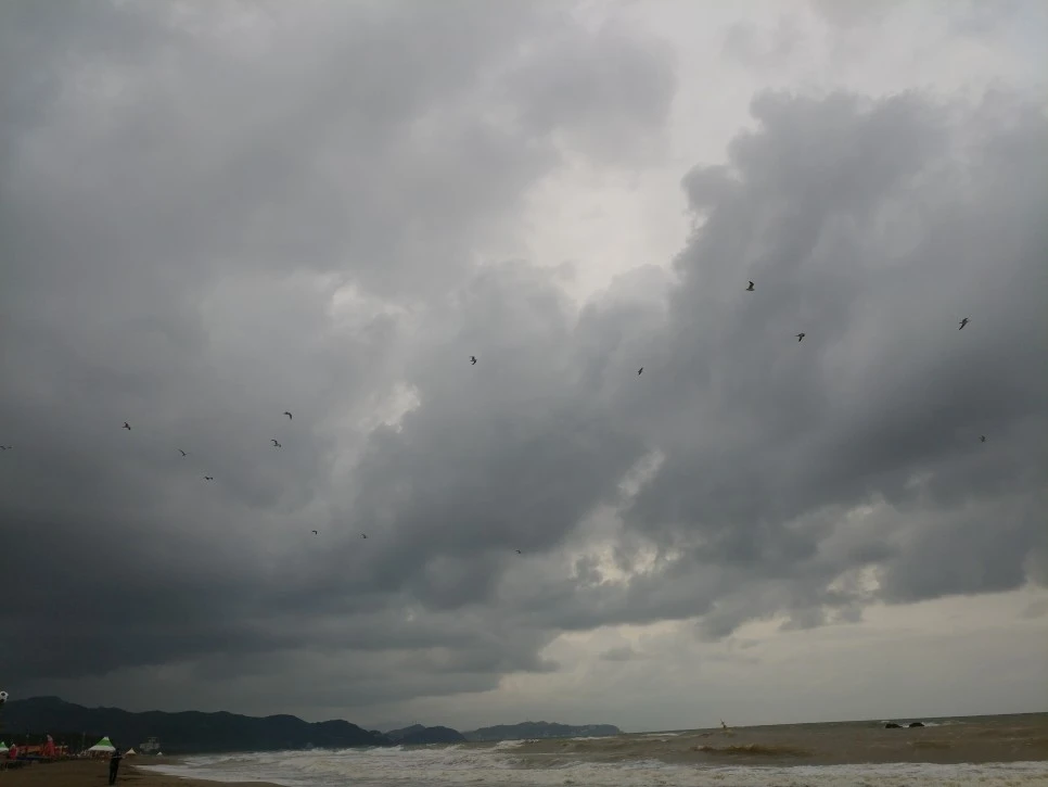 20210814_175339.jpg?type=w966