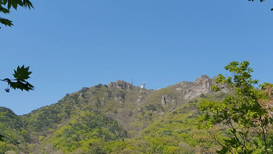 20210418_162542.jpg?type=w1