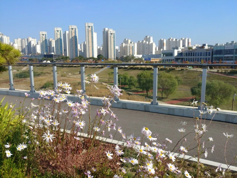 KakaoTalk_20221024_205350300_17.jpg?type=w966