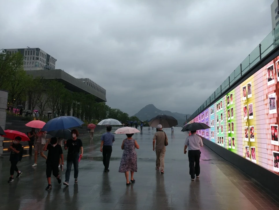 20220808_115831.jpg?type=w966