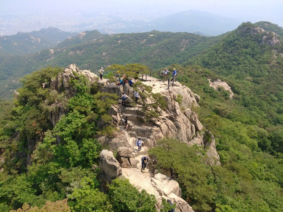 20220522_112927.jpg?type=w966