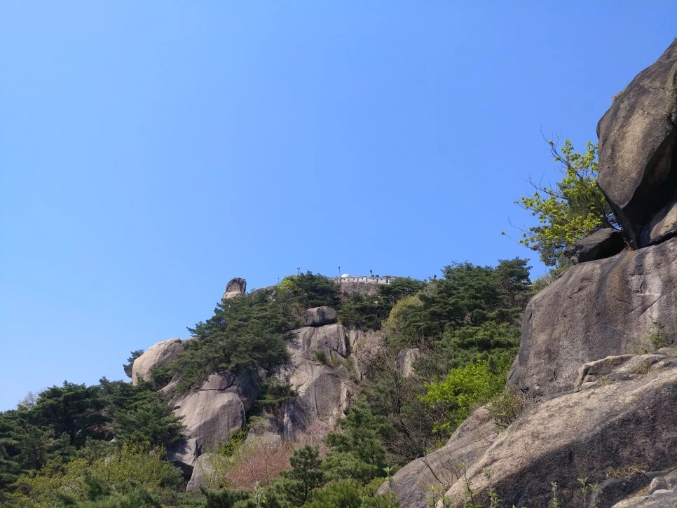 20220417_113528.jpg?type=w966