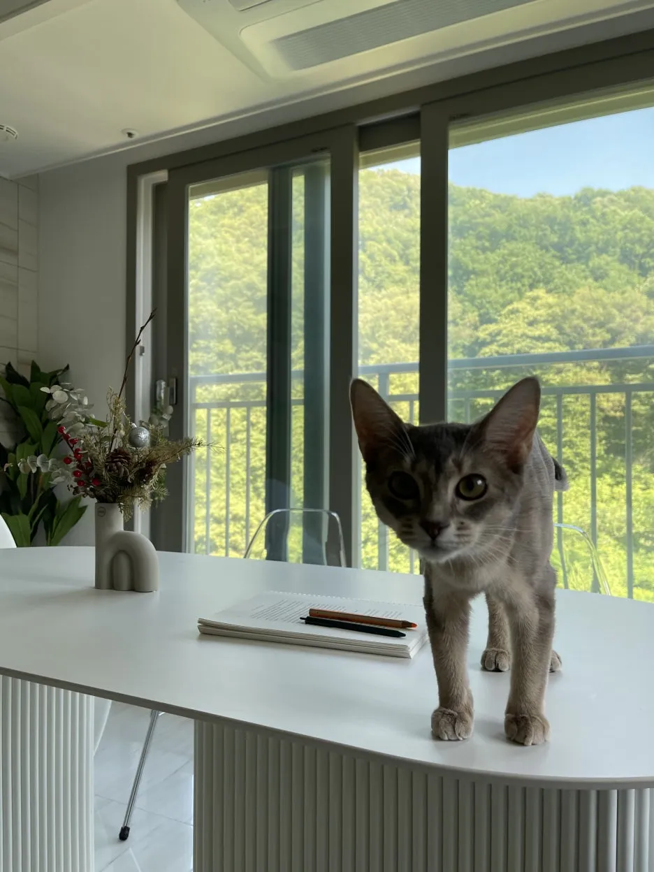 IMG_5970.jpg?type=w1