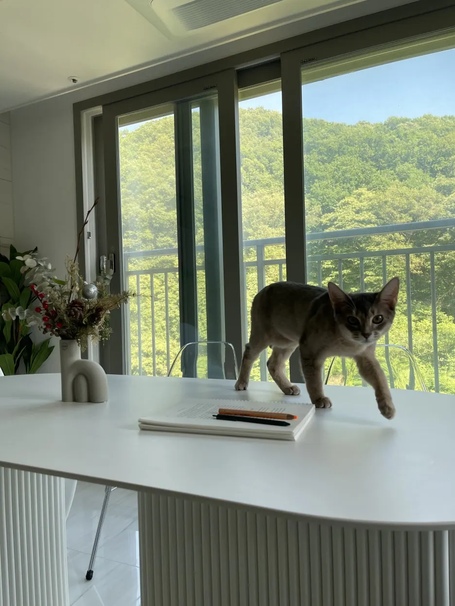 IMG_5968.jpg?type=w1