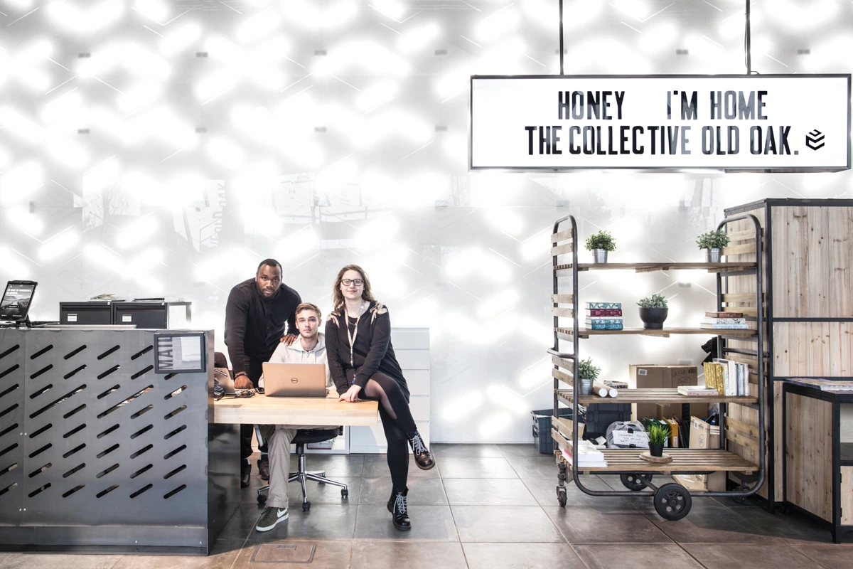 the collective old oak.JPG