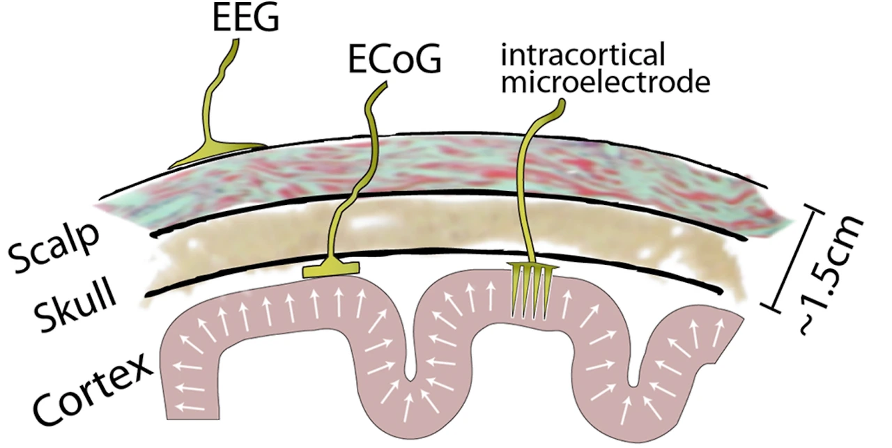 9bbFDw-6OXHoI189okFcwhJCNeFZnMAhtYXn1wN-4P3FATLW5ktA6nh7GWbyV9bfqgYit3_f3HvVdWiWtJq5bSGPVl_RoTfJsyQdka5xK2aSfwjoIlGchlHVh4B5TWuEIfXCWB1IueQbDvW-3Lt-2h5pMfB0pwQhIZW_hJnPGe2wdfxK-XkdtAlJ-u-KnA