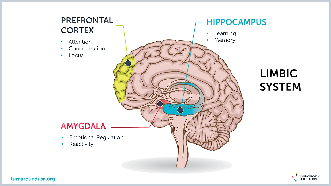 T5Gi06MZgqdXATCqZtqOzz0tbe8UdfJZ4Mqf2mS44JfTZUFJwa5jIntawF-dznlFkKkWyWMWHt9enJLCF9aua1Kl5XCGVgCJLv3XxDWVsonsrYh-5Rlg9SgEVkaihyninlCG3KXtD6WkIb4jBg0ibUk