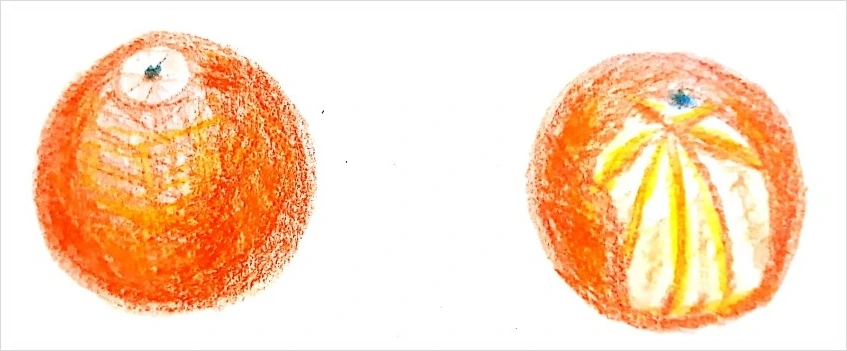 SE-3de47dc5-2fe3-43f8-a3e6-0811d708553c.jpg?type=w1