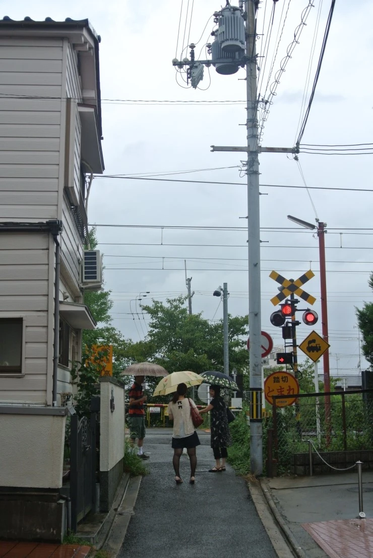 DSC_8232.JPG?type=w1