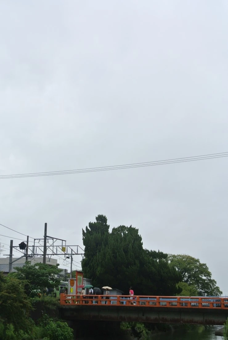 DSC_8234.JPG?type=w1