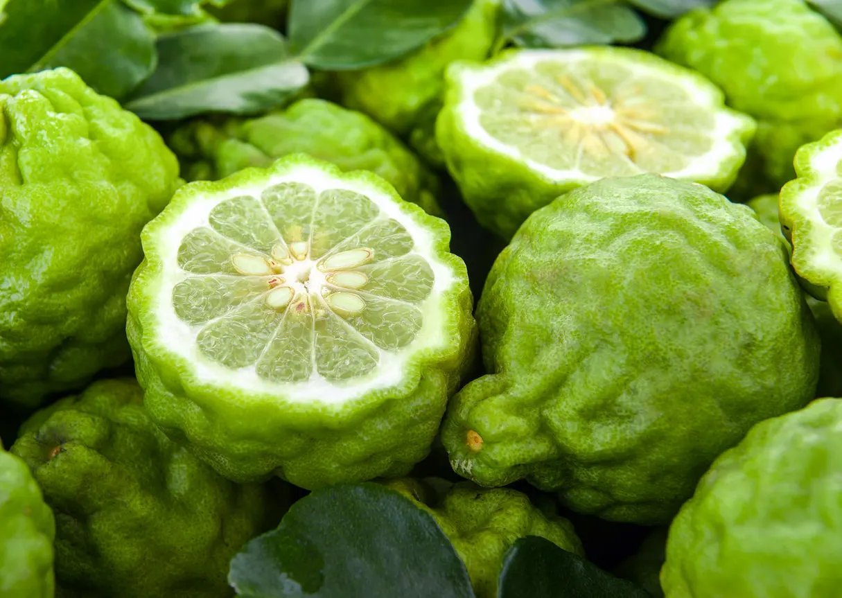 Bergamot_fruit_open.jpg?v=1664738807