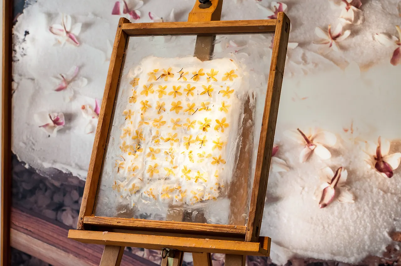 AdobeStock_133213905.jpg?v=1675670817