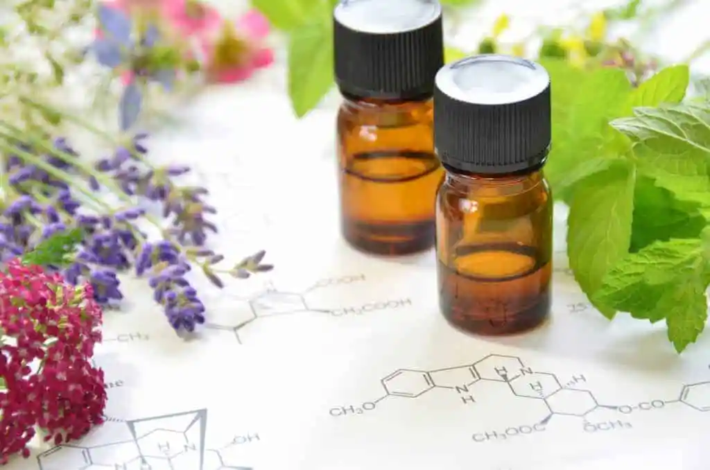 essential-oils-chemistry-flowers-leaves-1024x678-1.jpeg