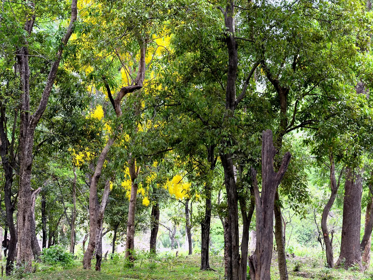 e506e9e6246847d0a03700c3673f73c3?v=176ead97