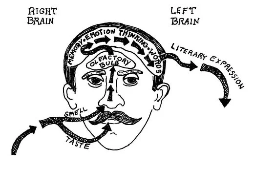 harris-proustpart.jpg?type=w800