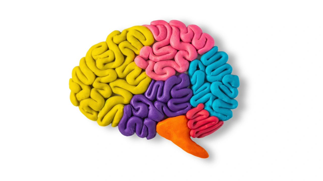 1648582544899?e=2147483647&v=beta&t=dA-4e_txI015hI81o8foLewP_CgstTX4Y-ffKcqcqJY