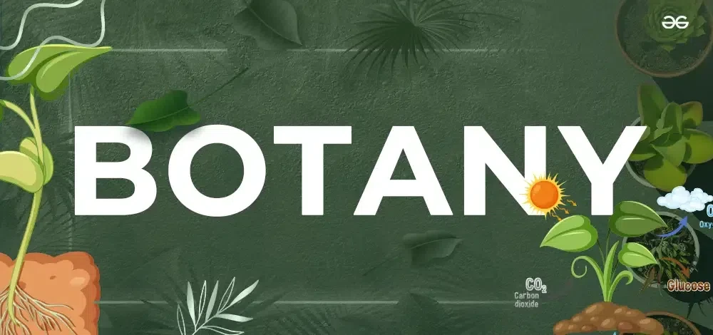 Botany.webp