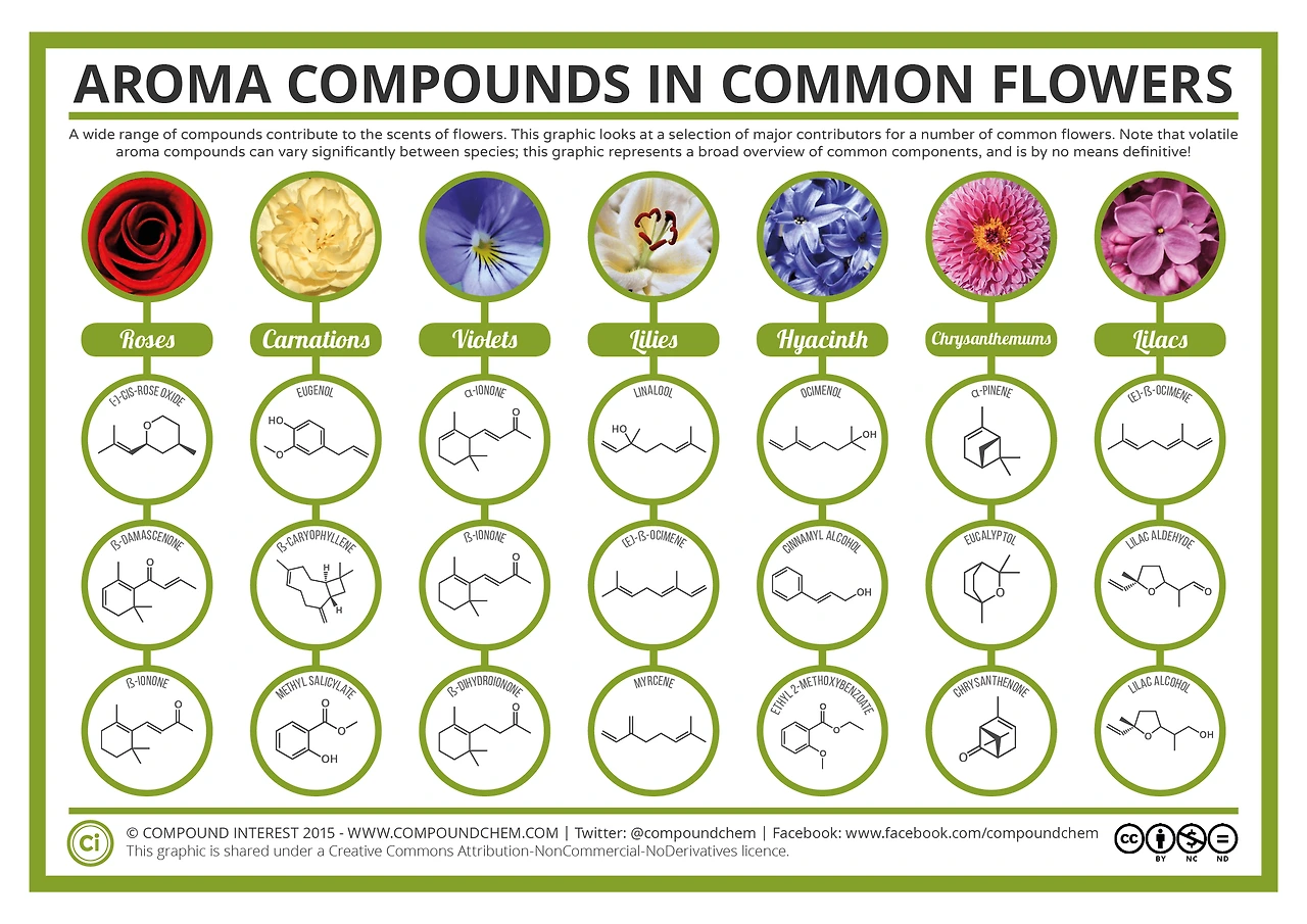 Aroma-Chemistry-Scents-of-Flowers.png?ssl=1